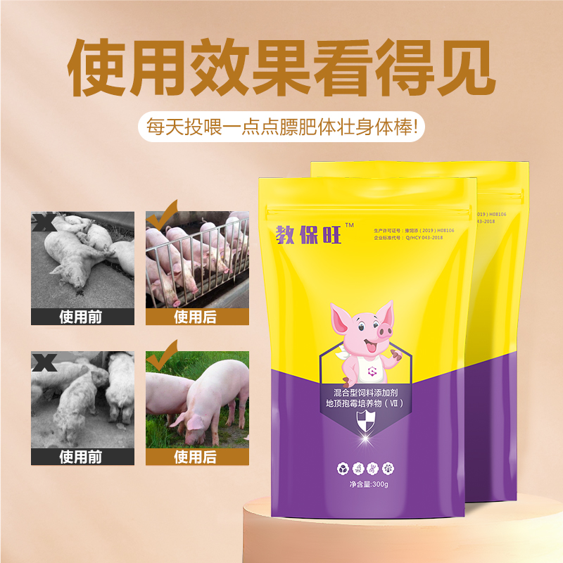 仔豬教槽誘料-教保旺