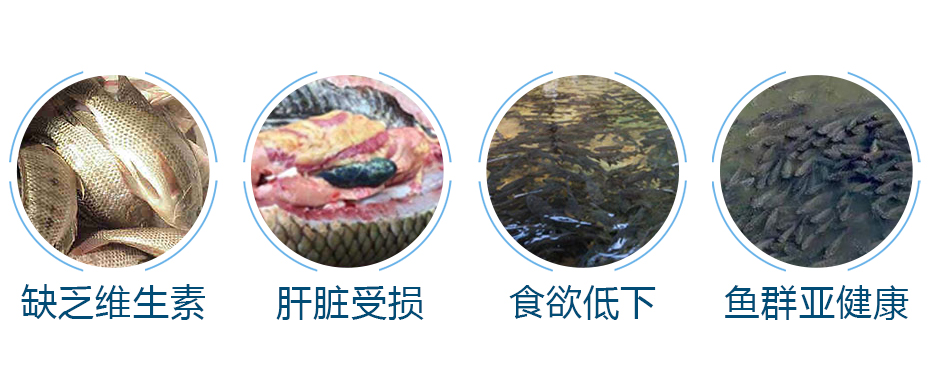 水產養殖中的常見問題