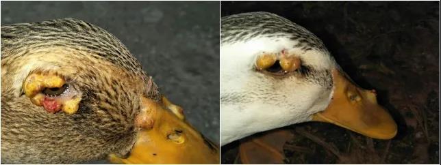 微信圖片_20210515090829