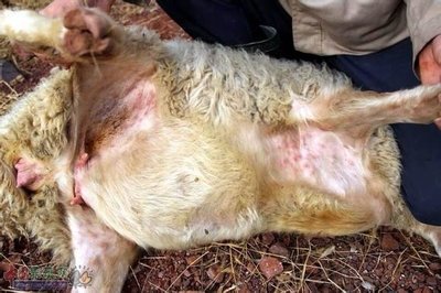 t01bc1aa640845c047c t01bc1aa640845c047c