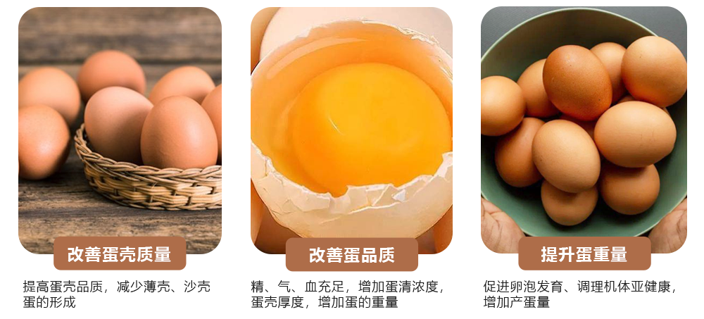 蛋肽豐產(chǎn)品功效