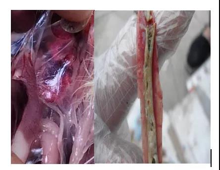 微信圖片_20210526174220