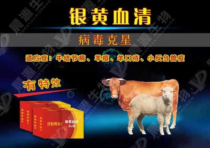 銀黃血清-牛結節病治療