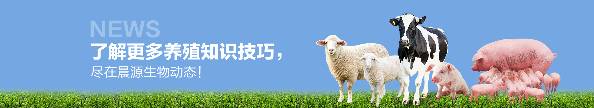 了解更多養(yǎng)殖知識技巧 盡在晨源生物動態(tài)