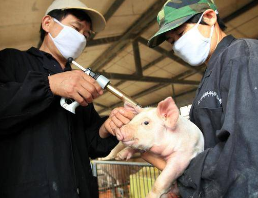 微信截圖_20220331114830