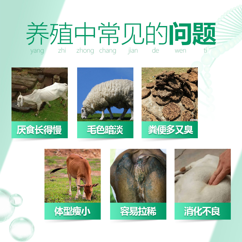 催肥促生長-牛羊膘得壯 催肥促生長-牛羊膘得壯