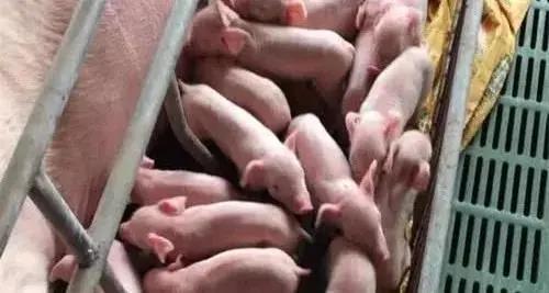 微信圖片_20210716142547