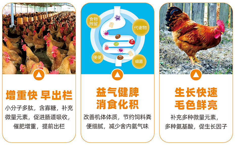 肥旺旺產(chǎn)品功效