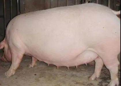 微信圖片_20210525174503