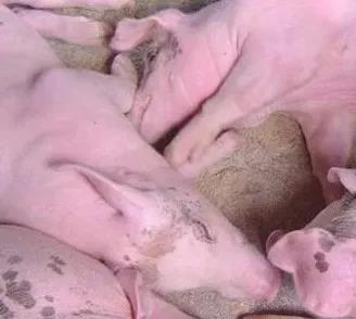 微信圖片_20210706155524