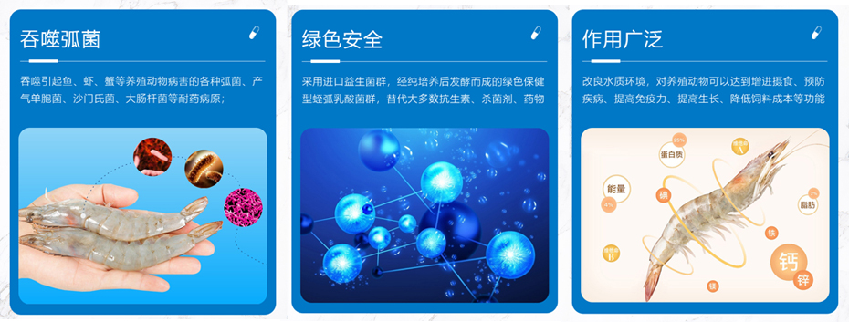 水產(chǎn)養(yǎng)殖產(chǎn)品弧菌清產(chǎn)品功效