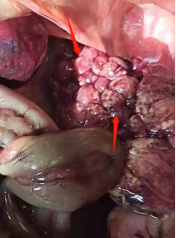 微信圖片_20220407151003