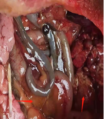 微信圖片_202204071510032