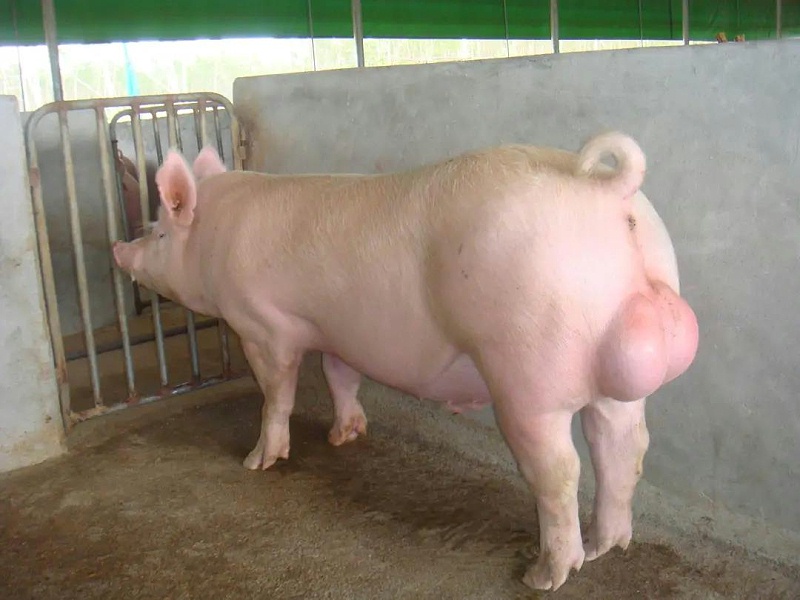 微信圖片_20210515092754