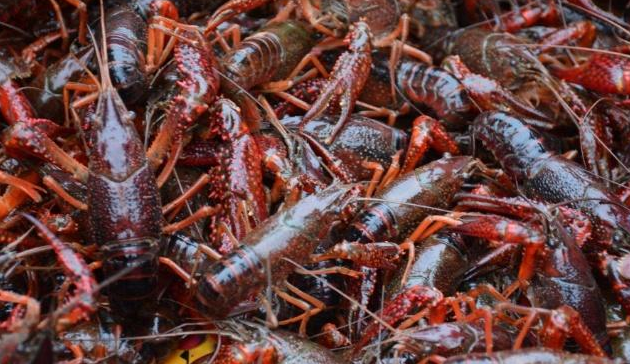 微信截圖_20220401174734